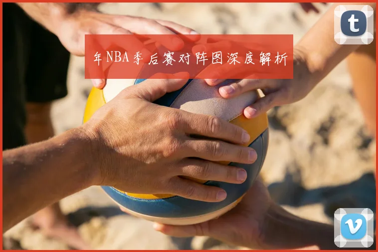 年NBA季后赛对阵图深度解析
