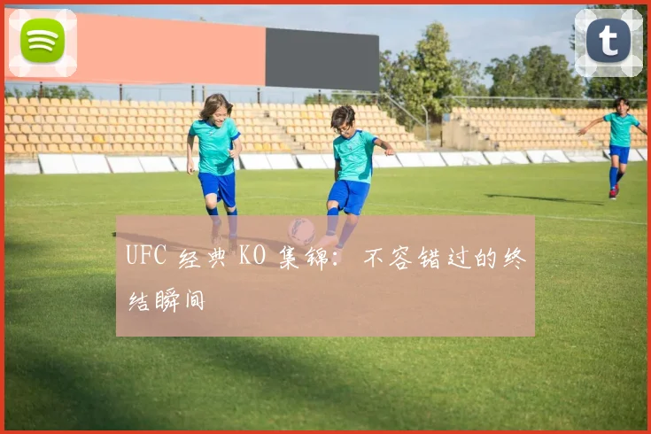 UFC 经典 KO 集锦:不容错过的终结瞬间